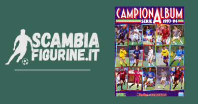 Campionalbum 1993-94 show